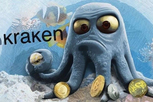 Kraken 24 top