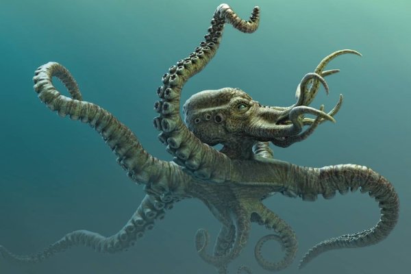 Кракен шоп krakenwebs org