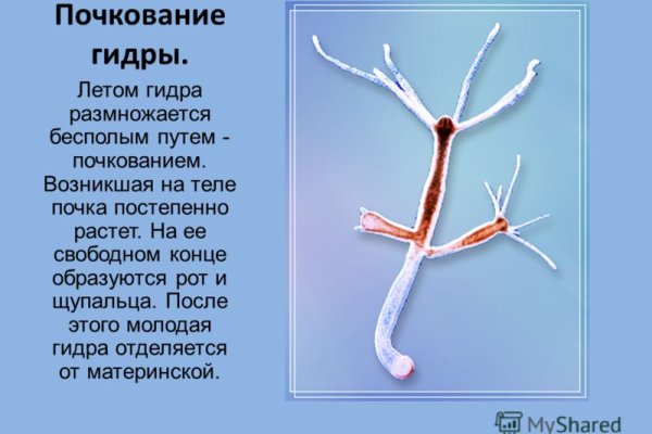 Зайти на кракен тор