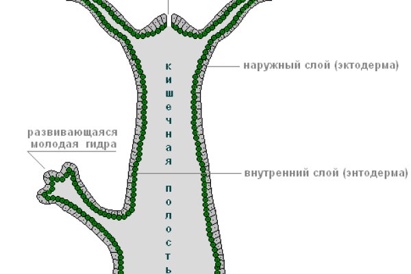 Почему в кракене пользователь не найден