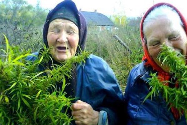 Ссылка на кракен в тор на сегодня