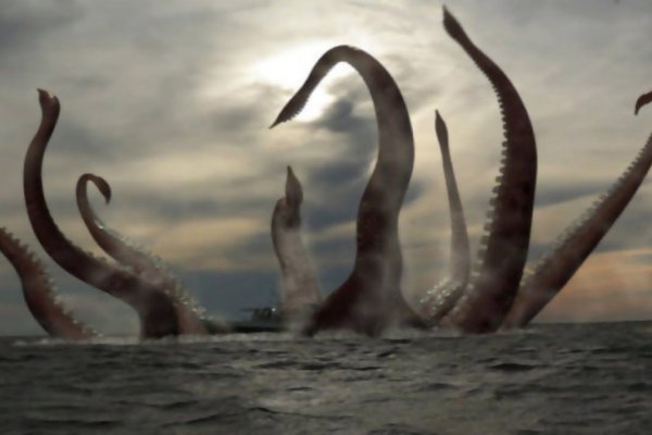 Kraken даркнет рынок